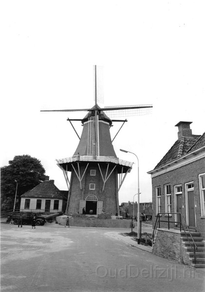 Molen Adam.jpg
